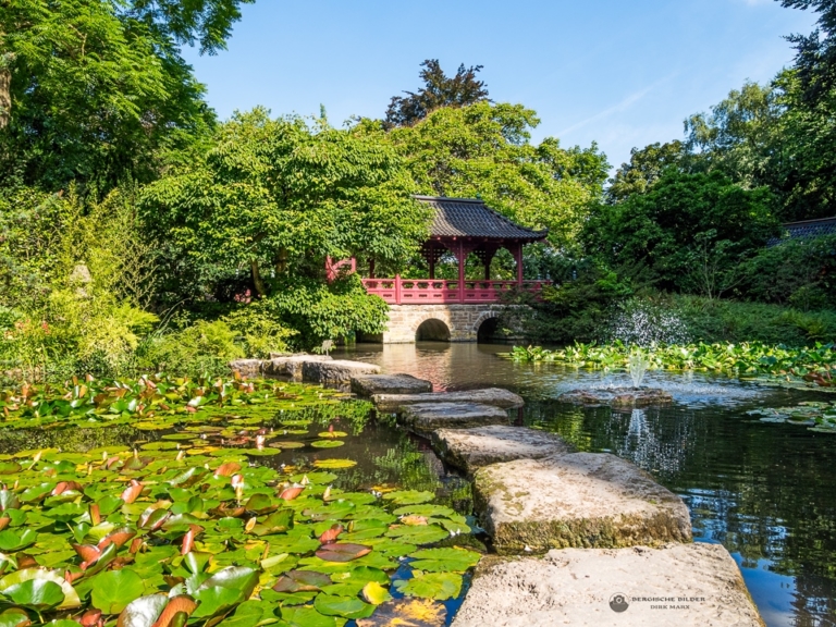 Japanischer Garten Leverkusen Sommerteich Bergische Bilder Dirk Marx