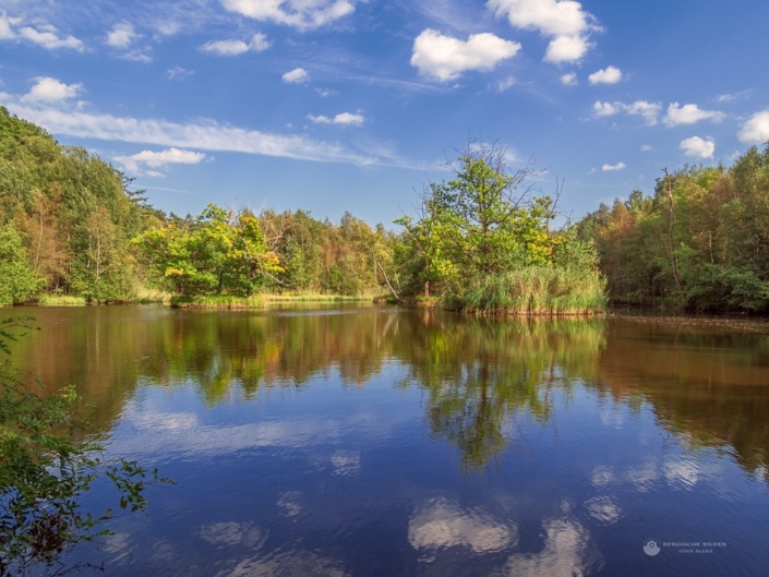 See in der Ohligser Heide See in der Ohligser Heide