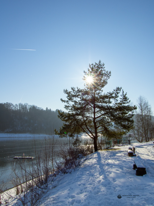Ufer der Wuppertalsperre Ufer der Wuppertalsperre