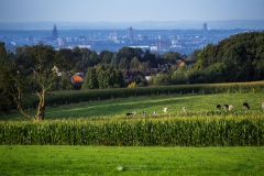 Weitsicht nach Köln - Leichlingen