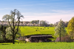 Roderhof im Frühjahr - Leichlingen