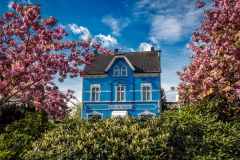 Das blaue Haus am Stadtpark - Leichlingen