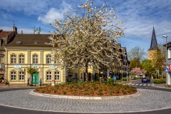 Kreisverkehr im Frühling - Leichlingen