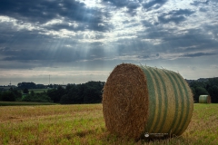 Strohballen bei Bennert - Leichlingen