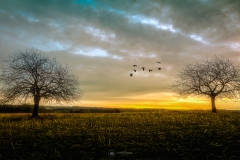 Sonnenaufgang in der Kuhle - Witzhelden