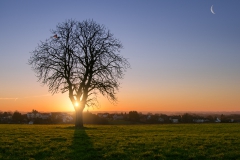 Bechhausen Sonnenaufgang - Witzhelden