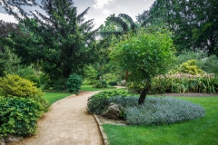 Wege im japanischen Garten - Leverkusen