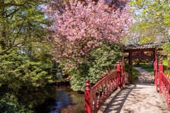 Eingang japanischer Garten - Leverkusen