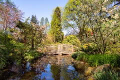 Brücke im japanischen Garten - Leverkusen