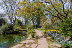 Kleiner See im japanischen Garten - Leverkusen