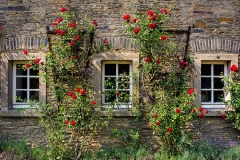 Rosenfenster an Schloss Heiligenhoven - Lindlar