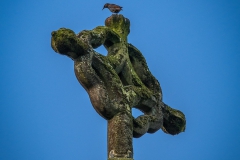 Altenberger Dom Spitze - Odenthal