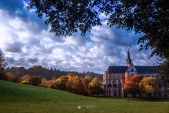Altenberger Dom - Odenthal