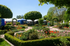 Botanischer Garten im Frühjahr - Solingen