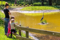 See im botanischen Garten - Solingen