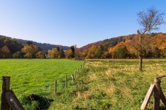 Obenrüdener Herbstwiese - Solingen