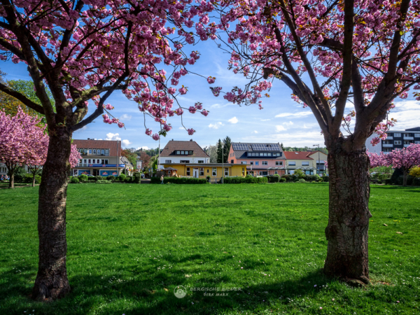 Stadtpark Pavillon zur Kirschblüte