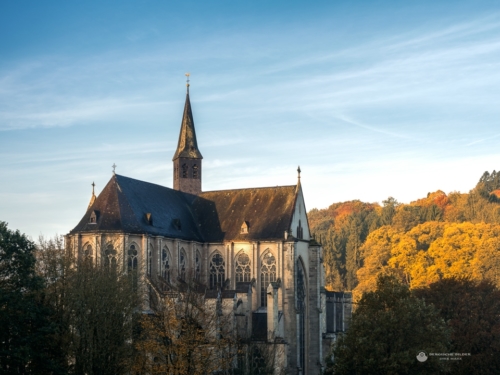 Altenberger Dom am Herbstmorgen
