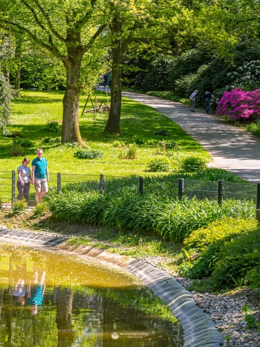 Botanischer Garten Teich Bergische Bilder Dirk Marx