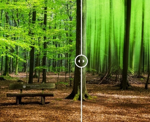 Waldbank Vergleich